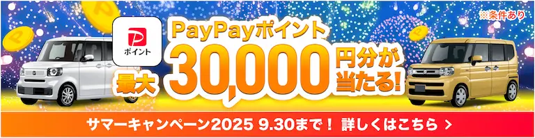 最大3万円分が当たる！サマーキャンペーン2025