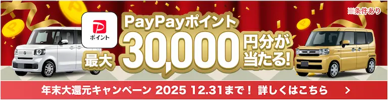 最大3万円分が当たる！年末大還元キャンペーン2025