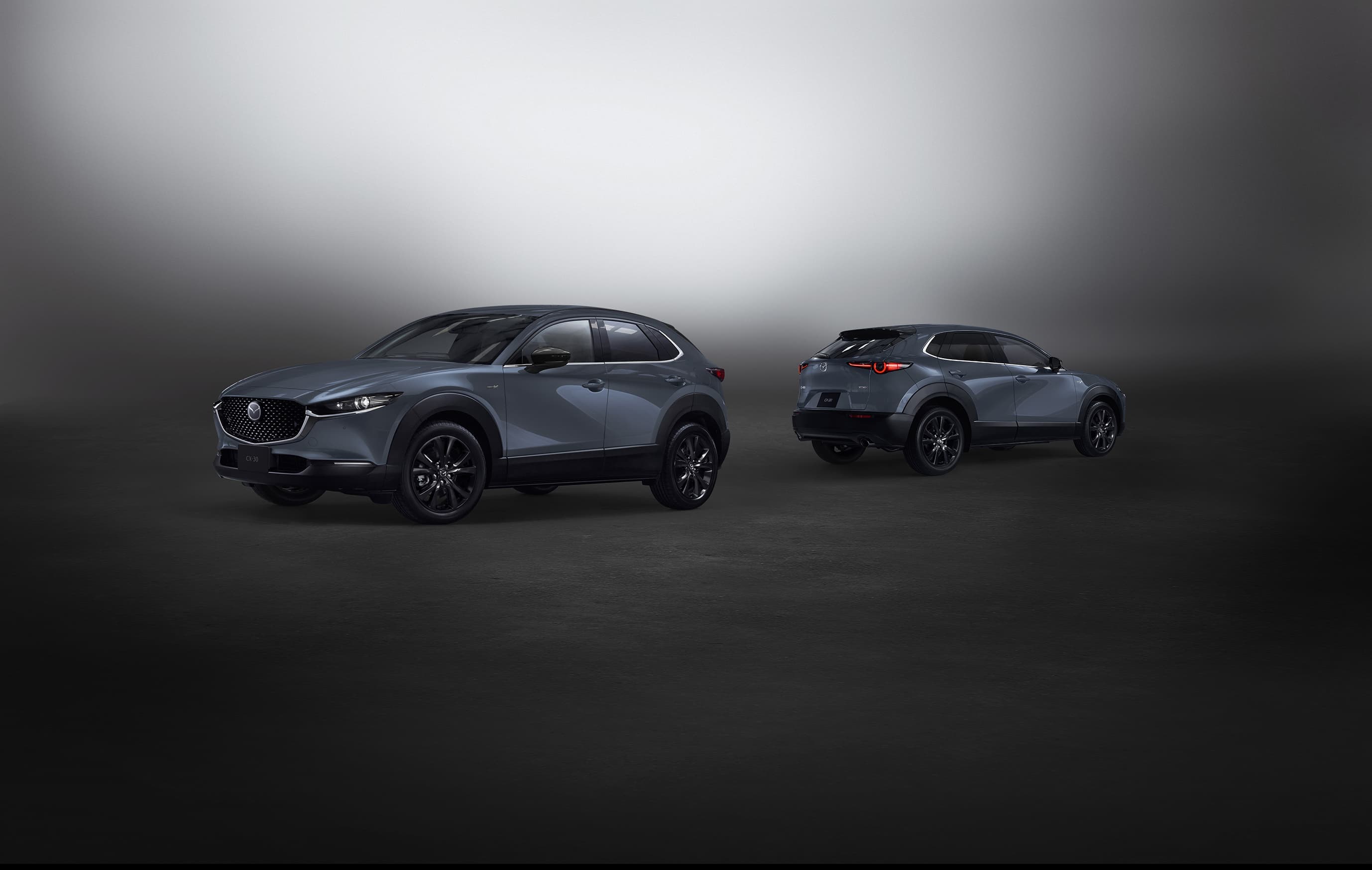 ドアミラーやホイールにブラックを効かせ、引き締まったスポーティーな装いの特別仕様車「Black Tone Edition」。