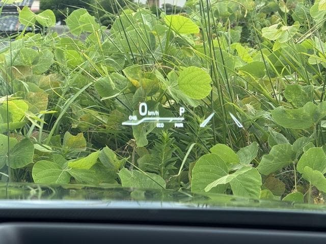 サムネイル 8