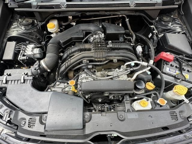 サムネイル 19