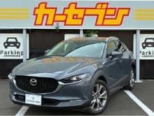 CX-30 サムネイル