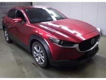 CX-30 サムネイル