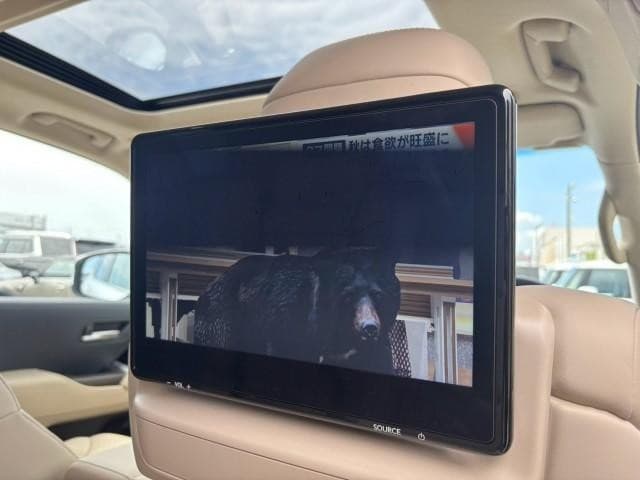 サムネイル 18