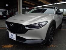 CX-30 サムネイル