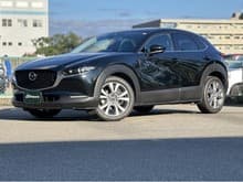 CX-30 サムネイル