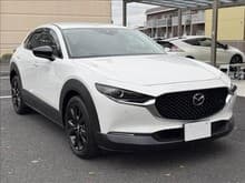CX-30 サムネイル