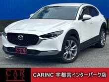 CX-30 サムネイル