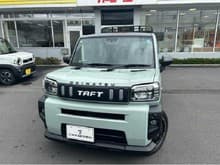 タフト サムネイル