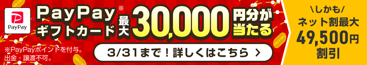 最大3万円が当たる！お年玉キャンペーン2025