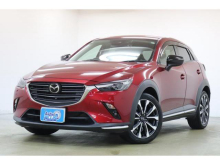 ＣＸ－３