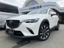 ＣＸ－３