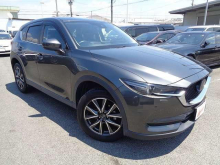 ＣＸ－５