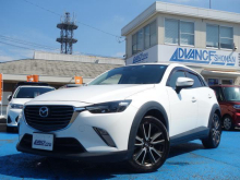 ＣＸ－３