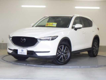 ＣＸ－５