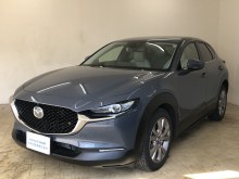 ＣＸ－３０