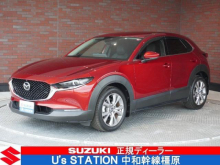 ＣＸ－３０