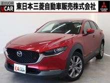 ＣＸ－３０