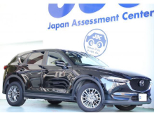 ＣＸ－５