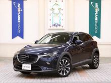 ＣＸ－３