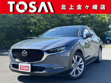 ＣＸ－３０