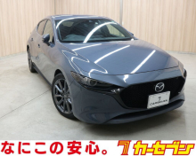 ＭＡＺＤＡ３　ファストバック