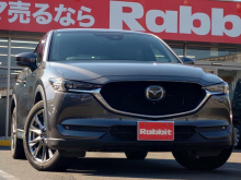 ＣＸ－５