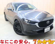 ＣＸ－３０