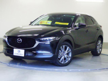 ＣＸ－３０