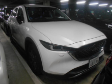 ＣＸ－５