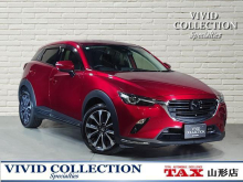 ＣＸ－３