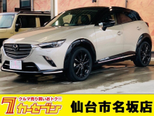 ＣＸ－３