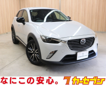 ＣＸ－３