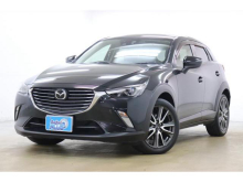 ＣＸ－３