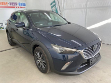 ＣＸ－３