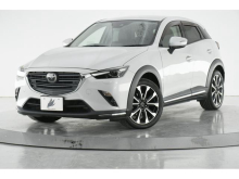 ＣＸ－３