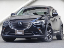 ＣＸ－３