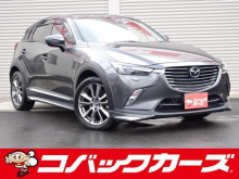 ＣＸ－３