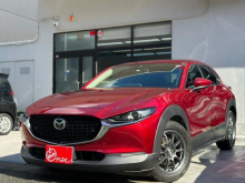 ＣＸ－３０