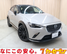 ＣＸ－３