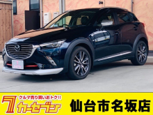 ＣＸ－３