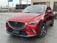 ＣＸ－３