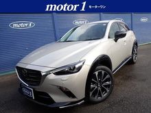 ＣＸ－３
