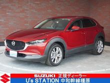 CX-30