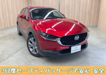 ＣＸ－３０