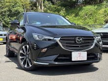 ＣＸ－３