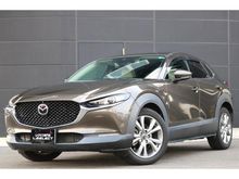 ＣＸ－３０