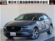 ＣＸ－３０