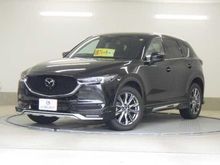 ＣＸ－５