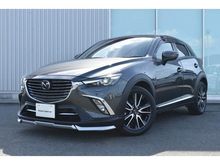 ＣＸ－３